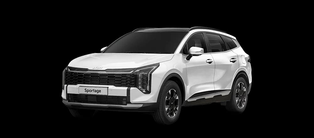 기아 스포티지 하이브리드